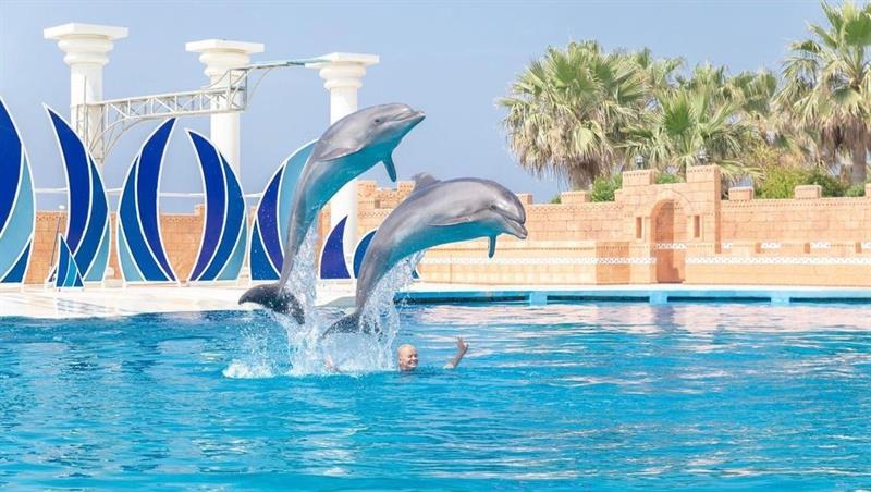 Sealanya Dolphinpark: Yunuslar ve Foklarla Dans galeri